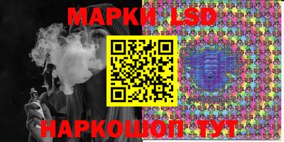 индика Можга