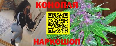 индика Можга