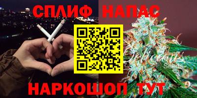мдпв Моздок