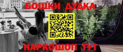 индика Можга