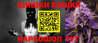 индика Можга