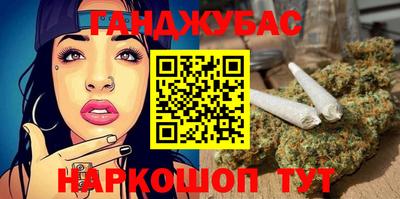 индика Можга