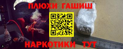 индика Можга