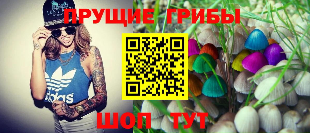 Галлюциногенные грибы GOLDEN TEACHER Севастополь