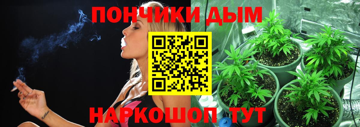 Шишки марихуана Bruce Banner  Канабис гибрид  Конопля LSD WEED  Севастополь  Вход с VPN 